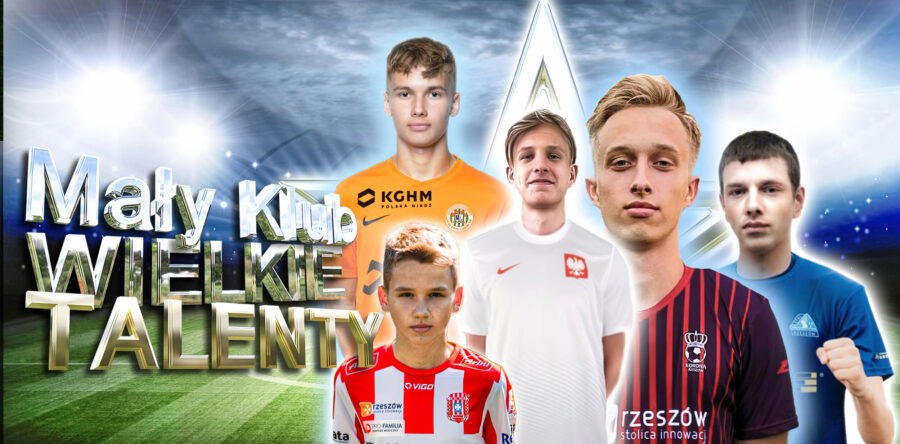 Nowa strona internetowa SP Grunwald Budziwój!