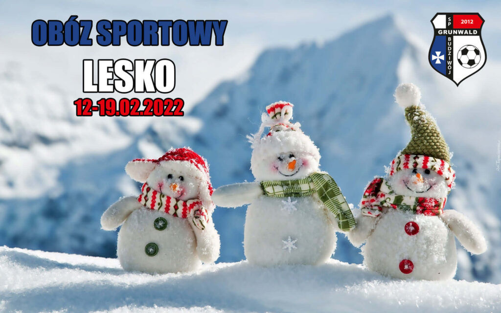 Obóz sportowy w Lesku