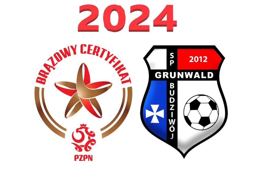 certyfikowan szkółka piłki nożnej w Rzeszowie Grunwald Budziwój